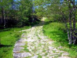 Camiño recuperado en Ponte Andón